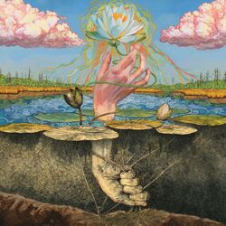 Cover of Phototroph