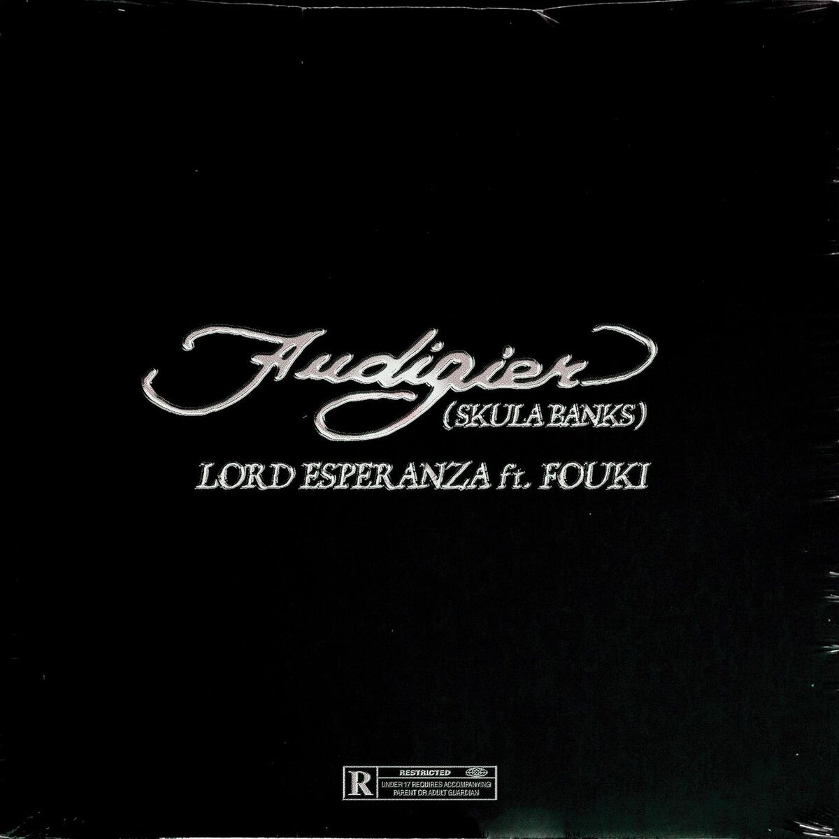 Album cover of Audigier (SkulaBanks) (feat. FouKi)