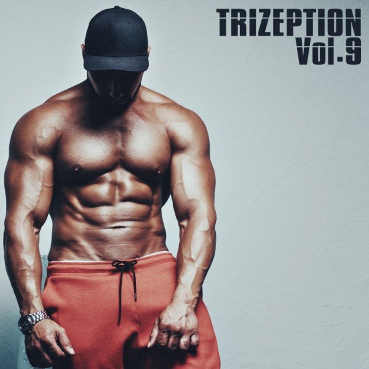 Album cover of Trizeption, Vol. 9
