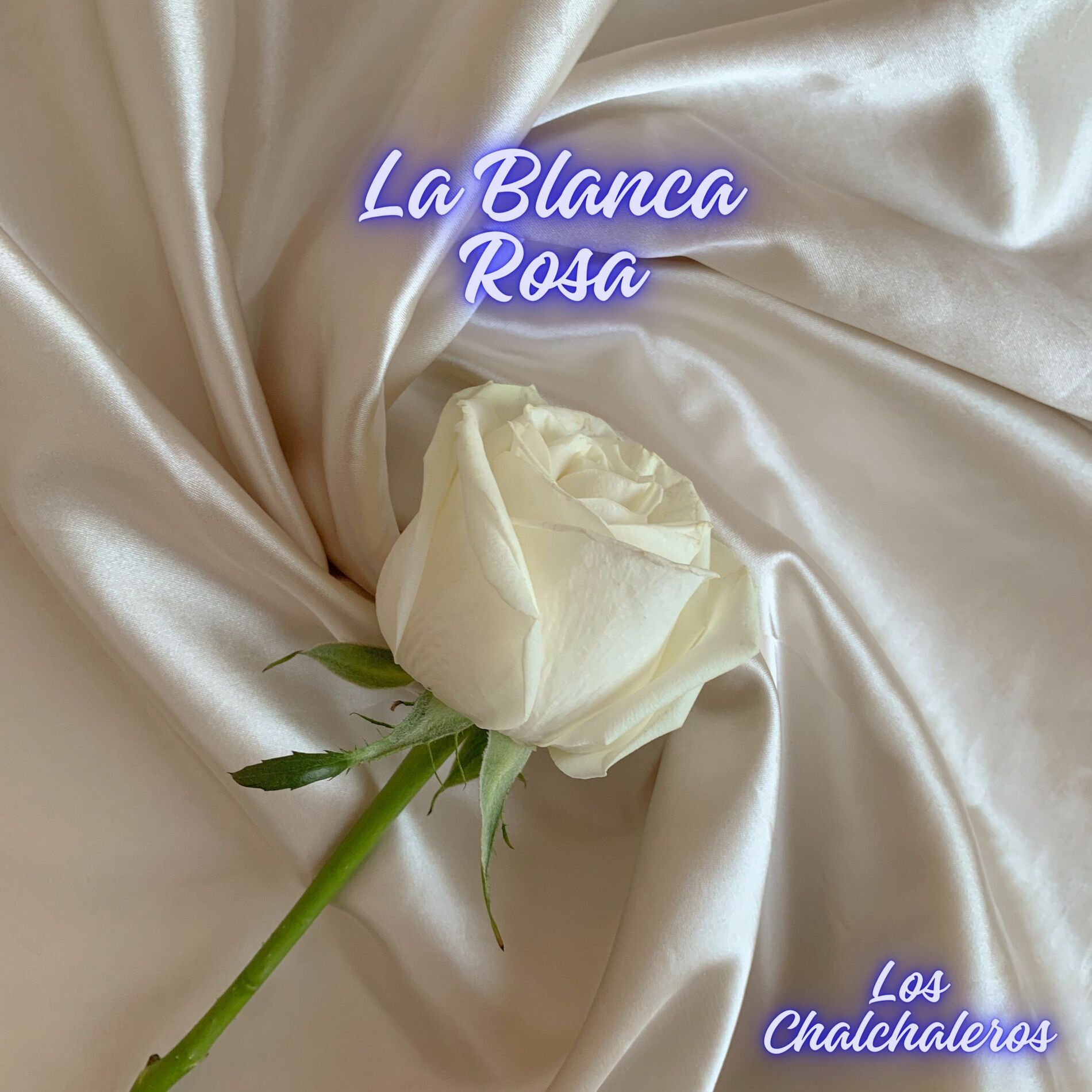 Album cover of La Blanca Rosa