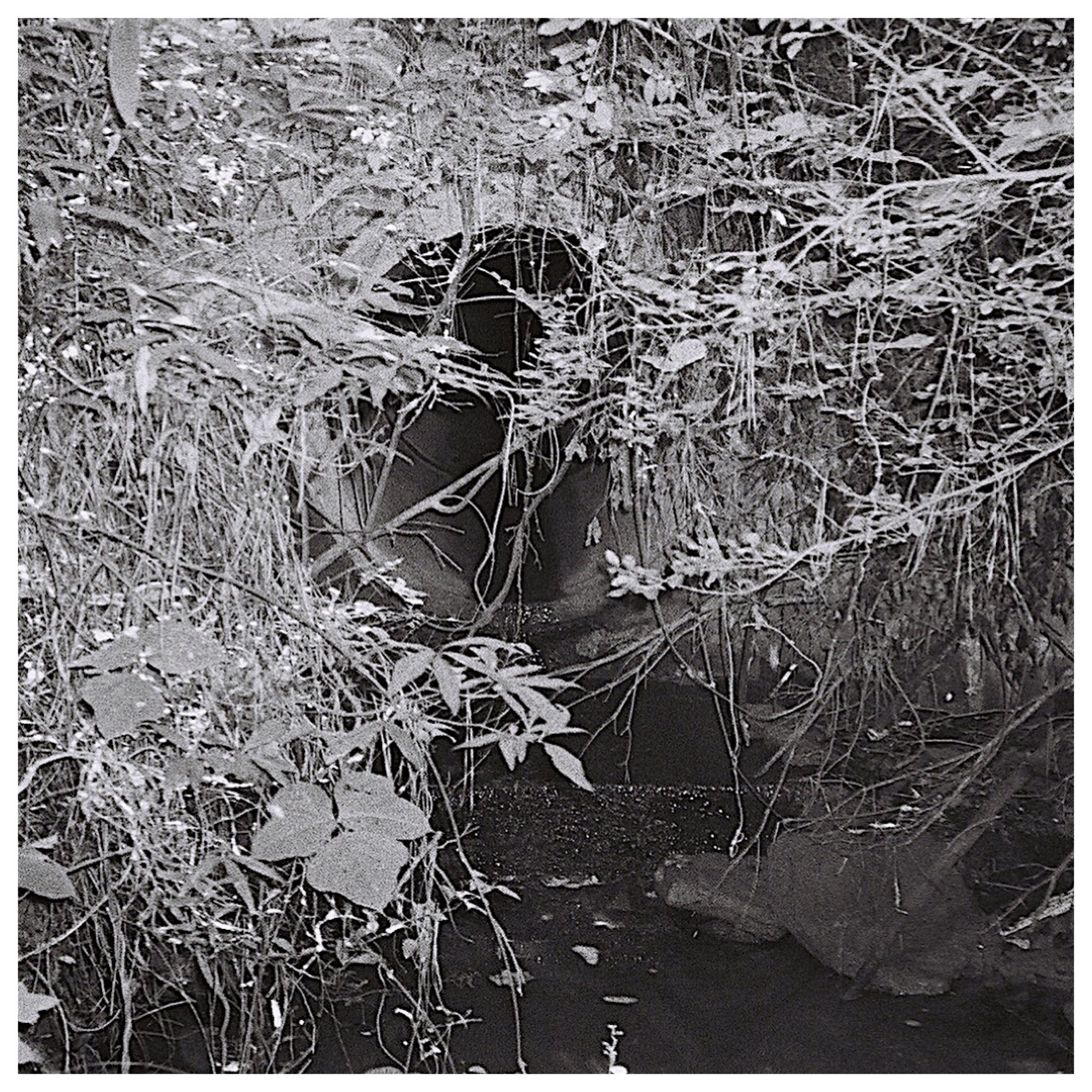 Album cover of Deeper Into Itself