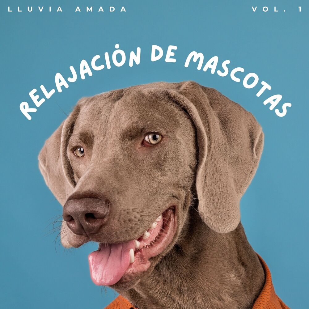 Picture of Relajación De Mascotas: Lluvia Amada Vol. 1