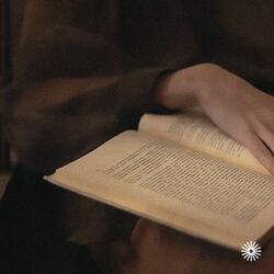 Cover of In Library