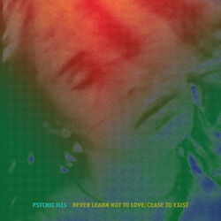 Cover of Never Learn Not to Love / Cease to Exist