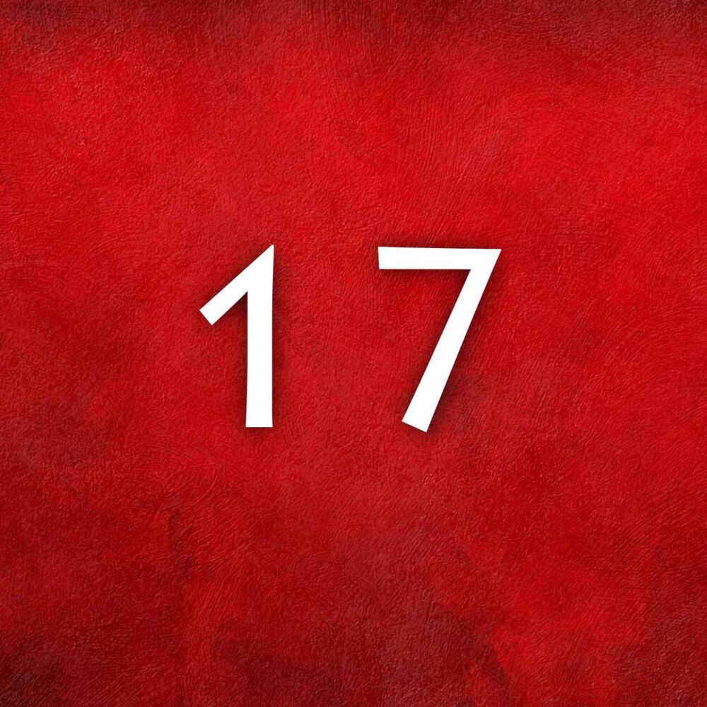 Picture of 17