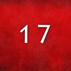 Cover of 17