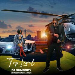 Cover of Top Level (feat. Kamo Mphela & The Lowkeys)