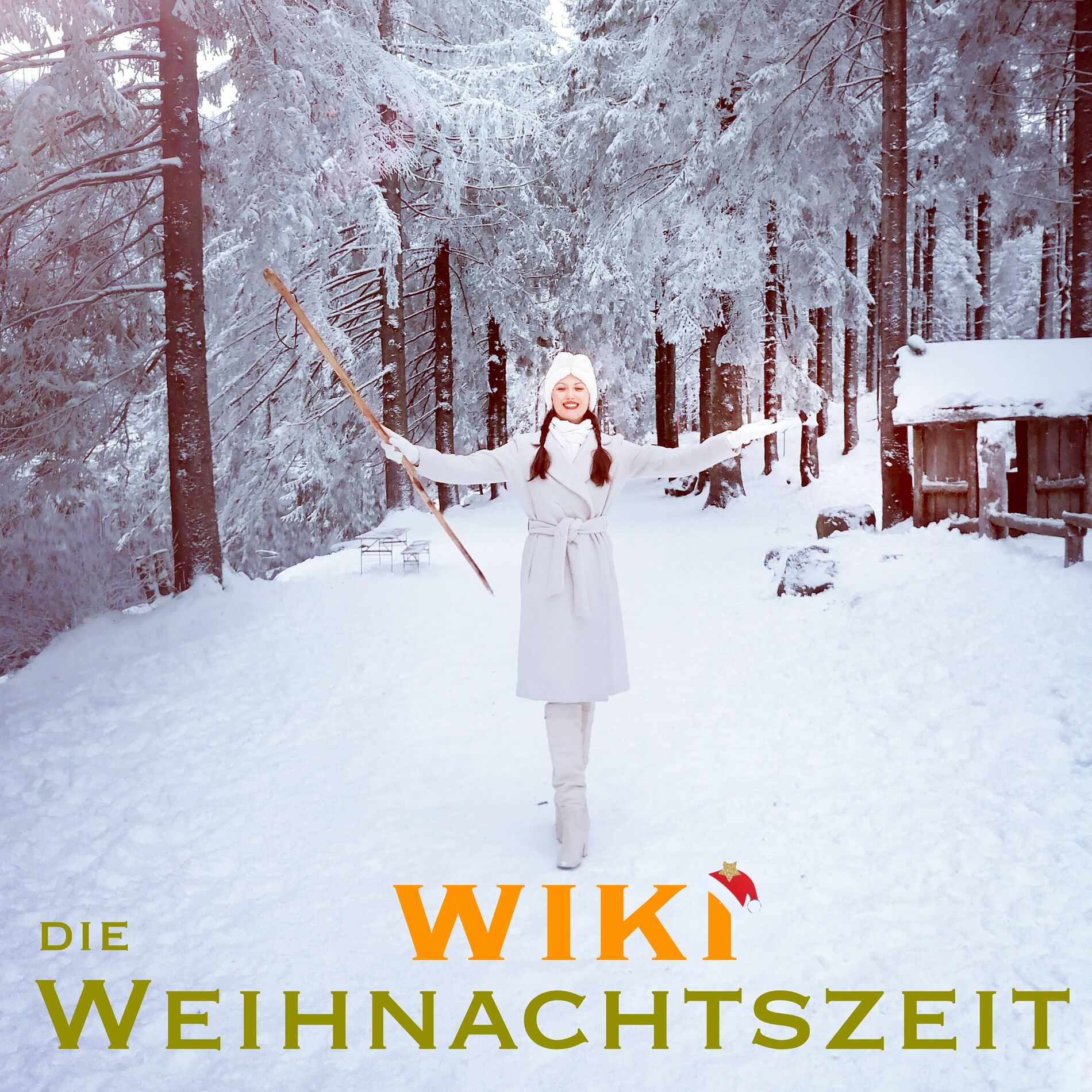 Album cover of Die Weihnachtszeit