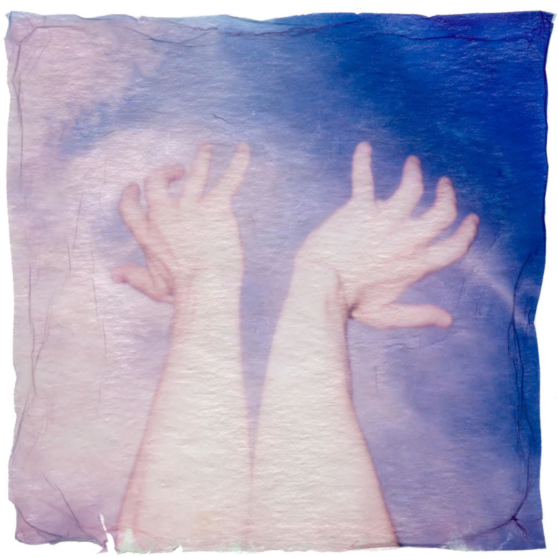 Album cover of Limp