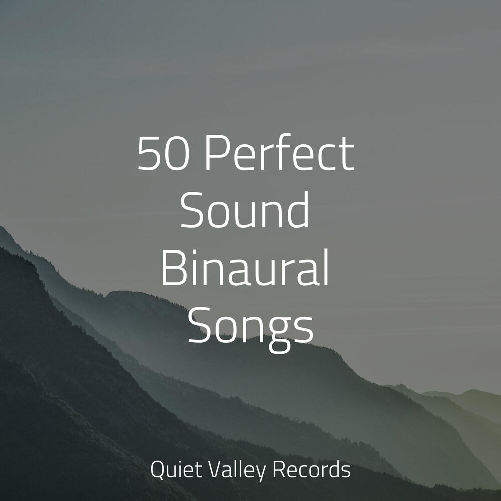 Picture of 50 Perfect Sound Binaural Songs