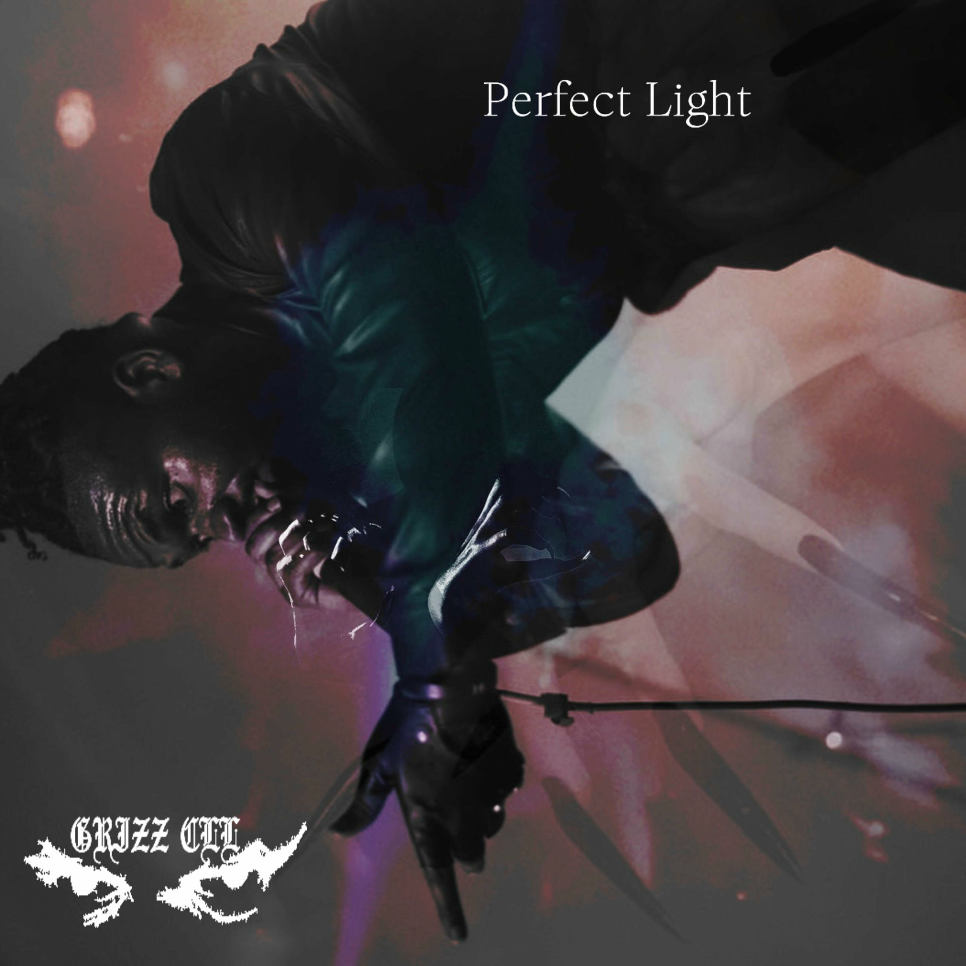 Album cover of Perfect Light