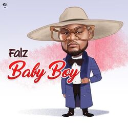 Cover of Baby Boy