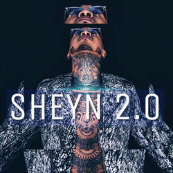 Cover of Sheyn 2.0