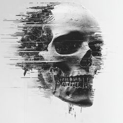 Cover of Triniidadii//HEAD HURT//PERFECT