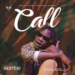 Cover of Call