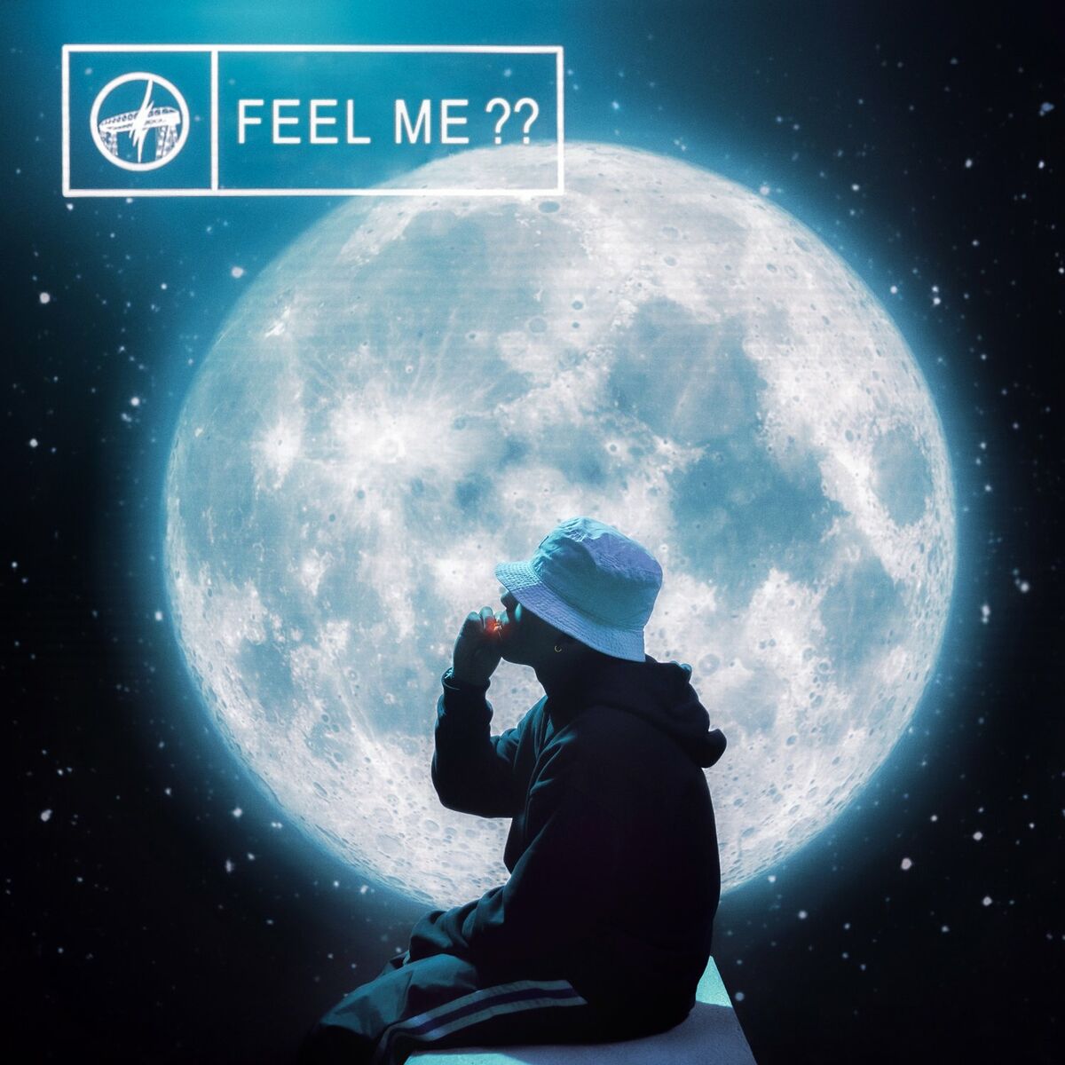 Album cover of FEEL ME??