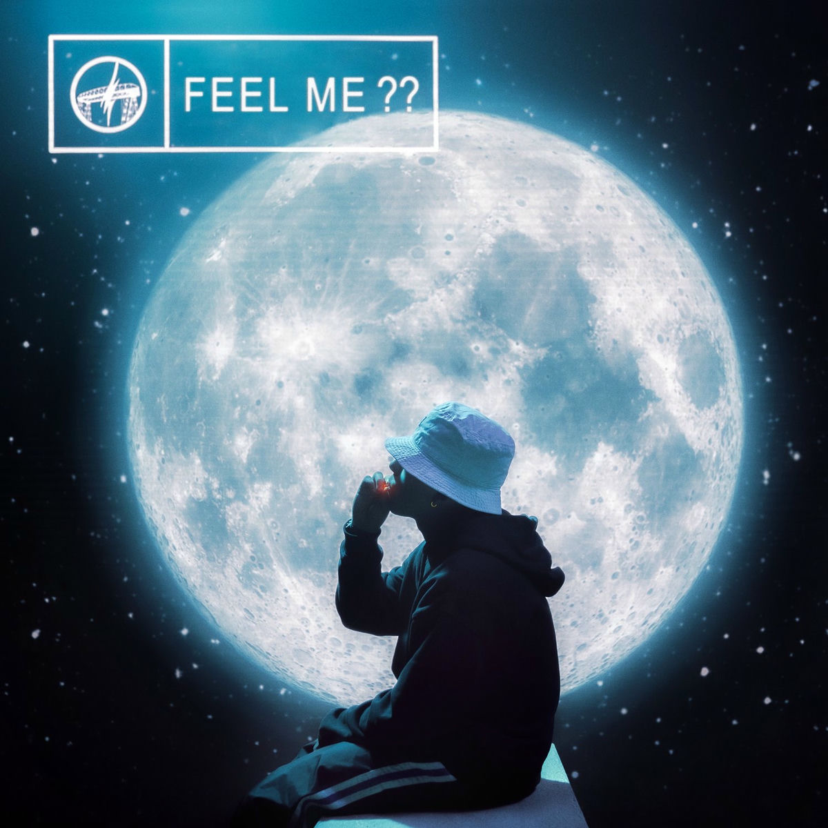 Album picture of FEEL ME??