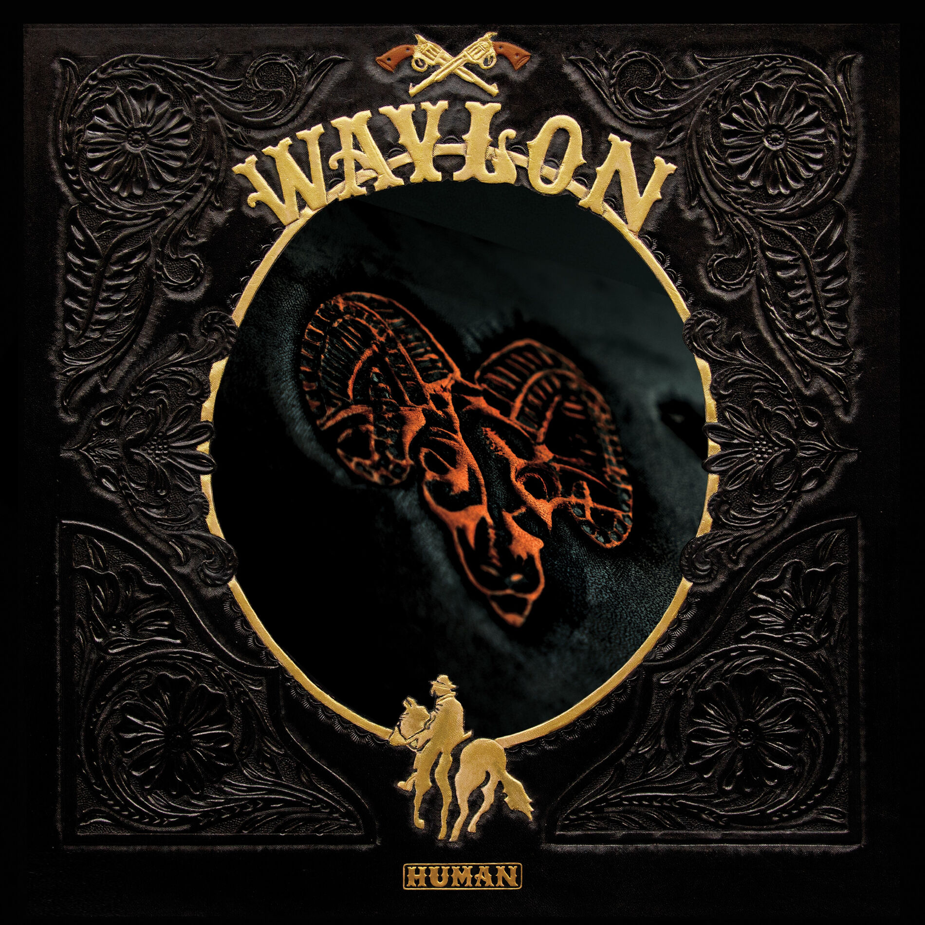 Album cover of Human