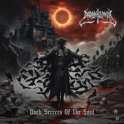 Cover of Dark Secrets Of The Soul