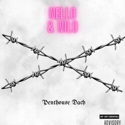 Cover of Penthousedach