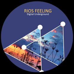 Cover of Rios Feeling