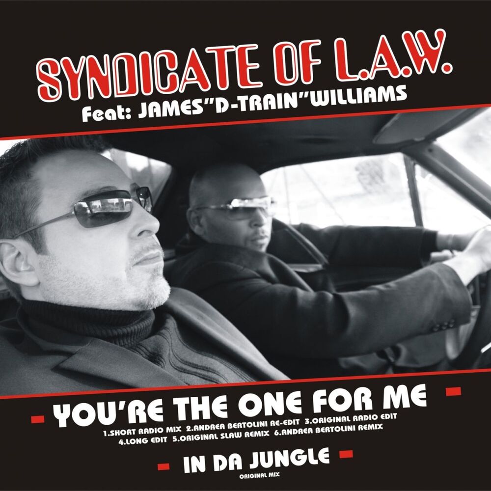 Picture of You're the One for Me - the Remixes