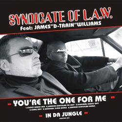 Cover of You're the One for Me