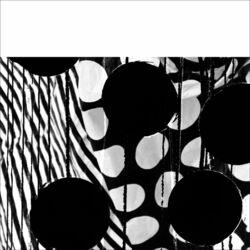 Cover of Ringer