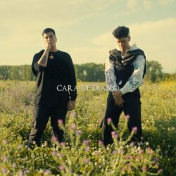 music cover