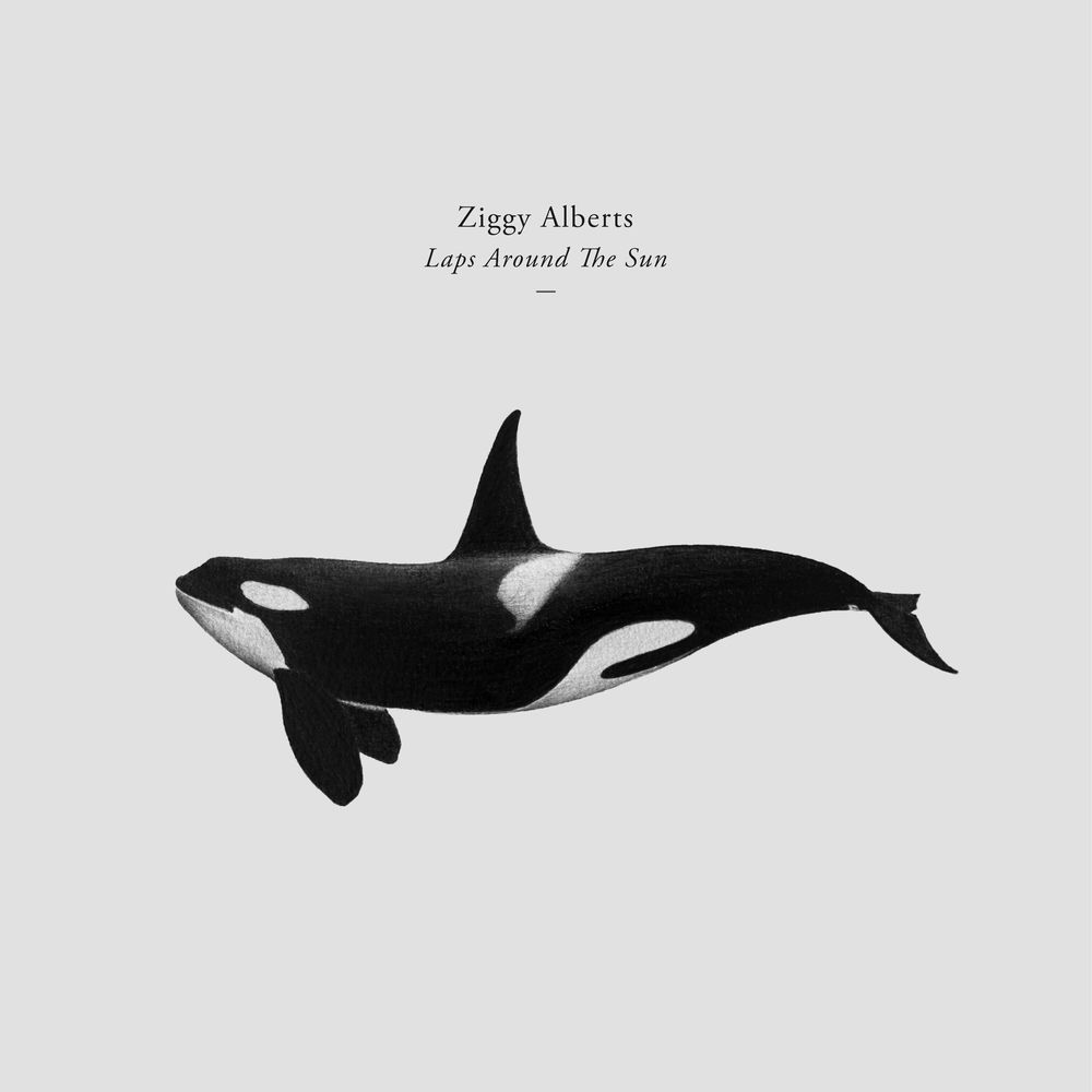 Album artwork for Laps Around The Sun (Clean) by Ziggy Alberts