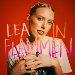 Cover of In Flammen