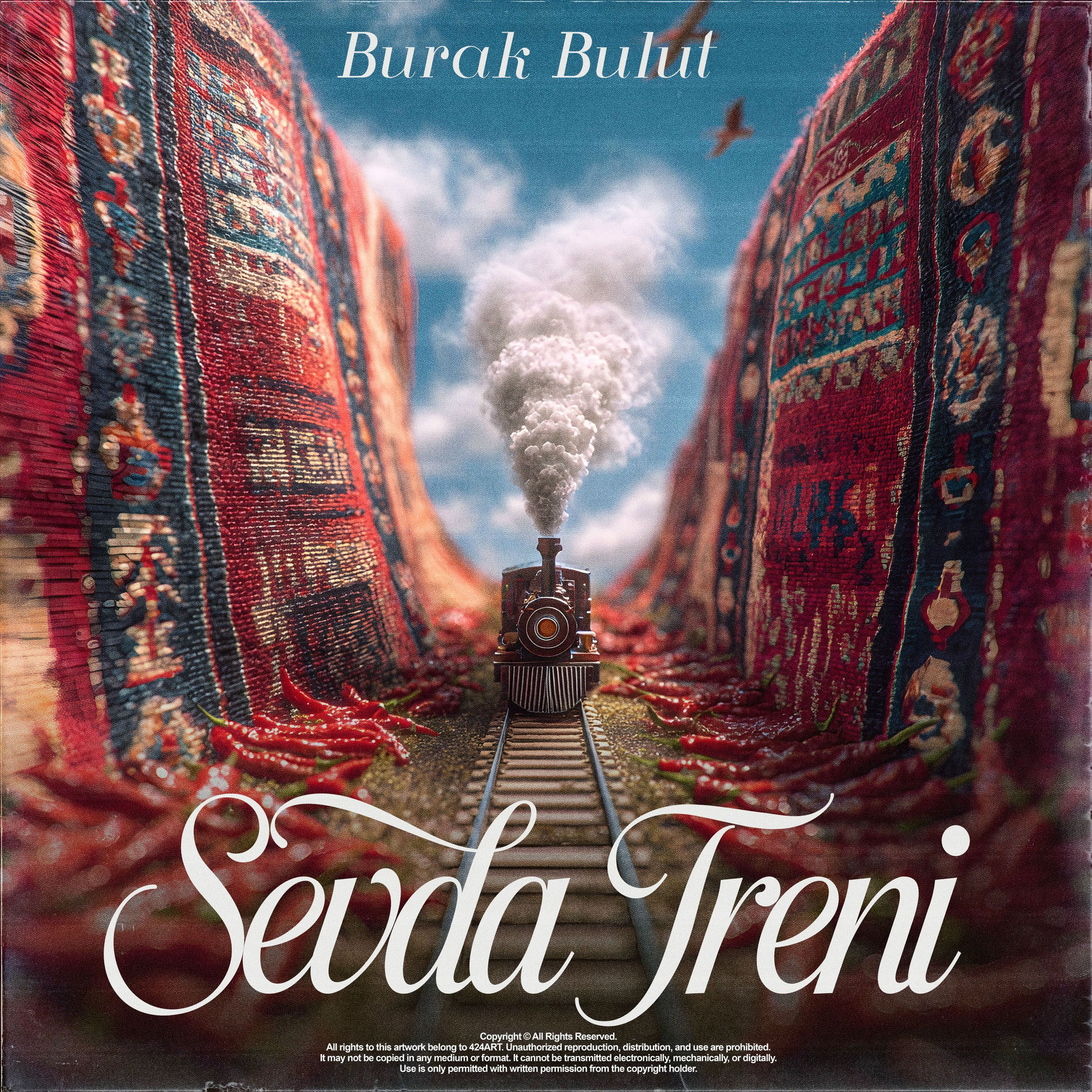Album cover of Sevda Treni