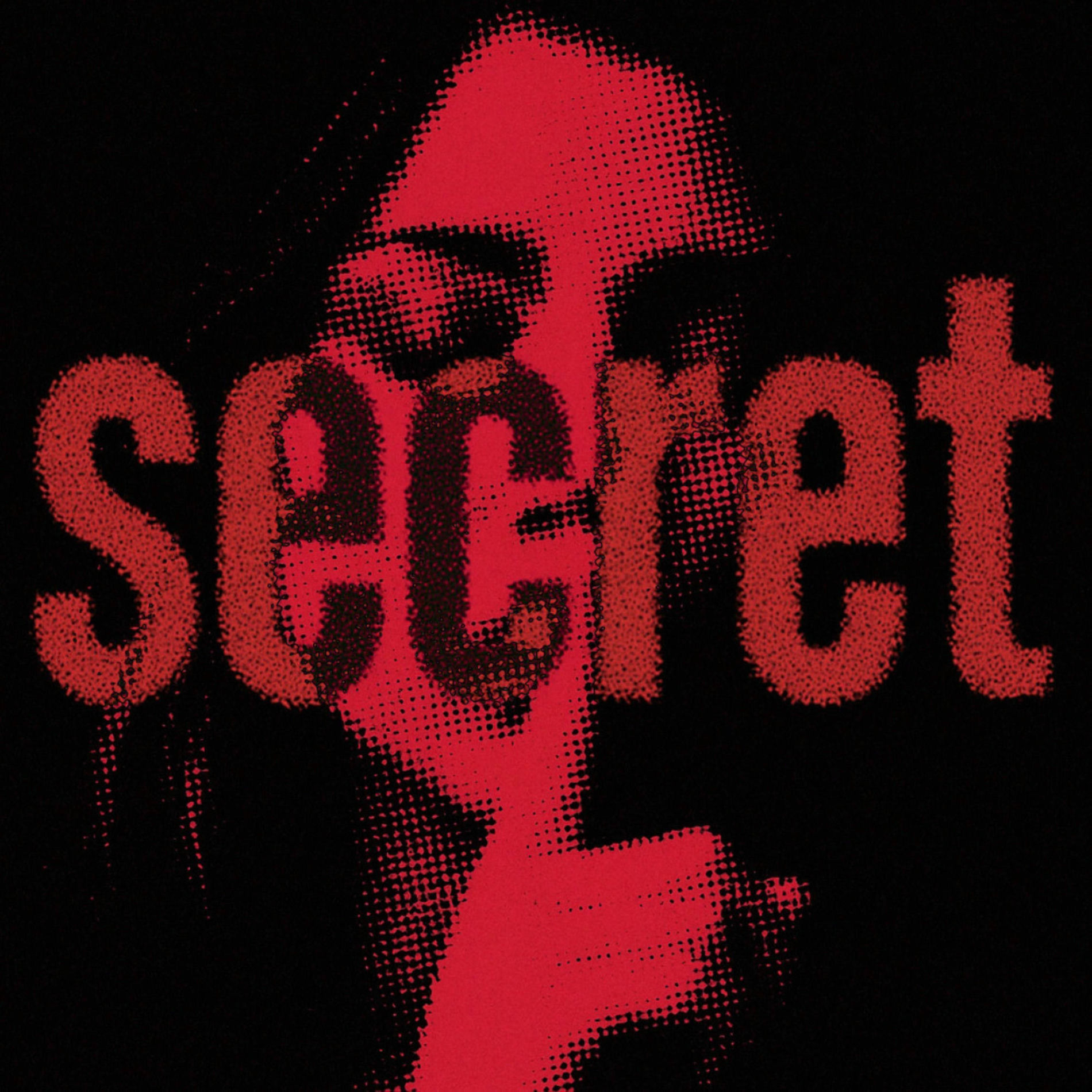 Album cover of SECRET