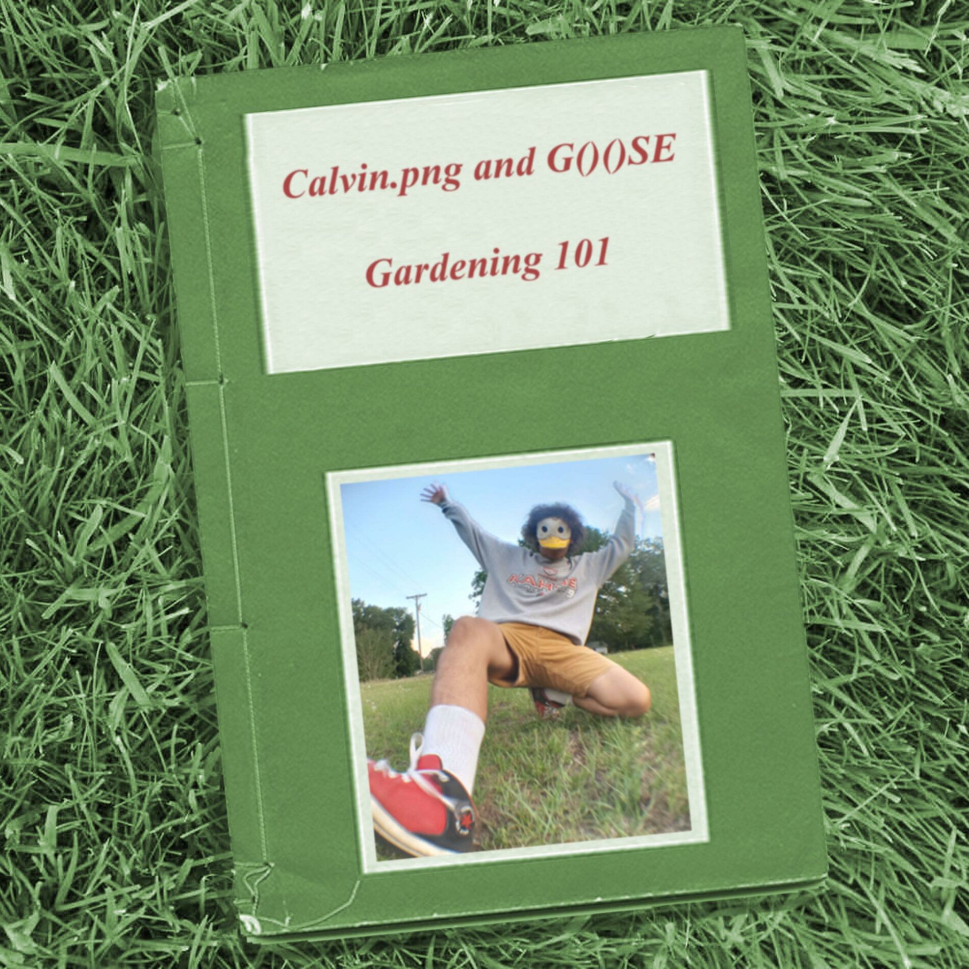 Album cover of Gardening 101