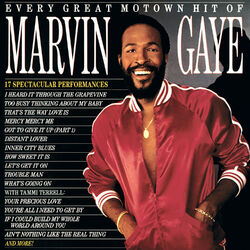 Cover of Every Great Motown Hit Of Marvin Gaye