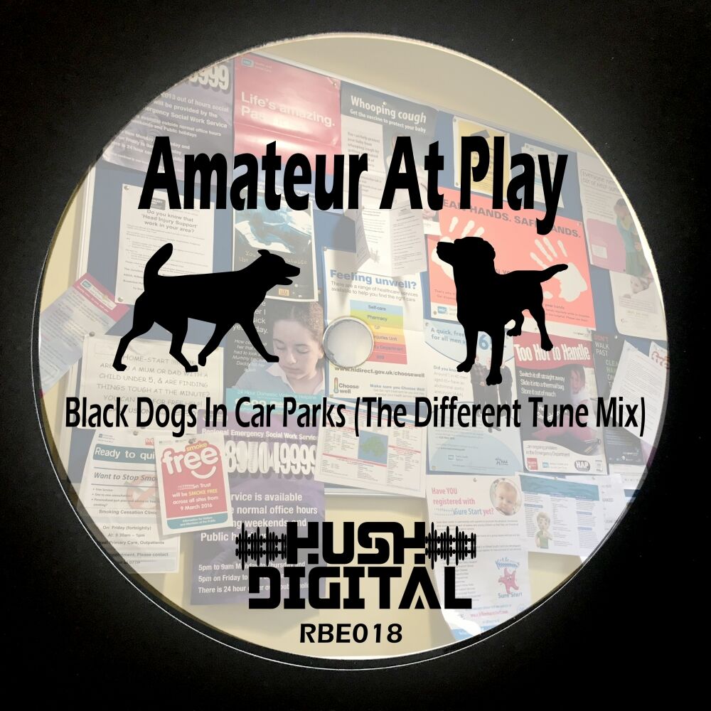 Picture of Black Dogs In Car Parks (The Different Tune Mix)