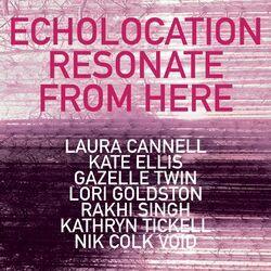 Cover of ECHOLOCATION: Resonate From Here
