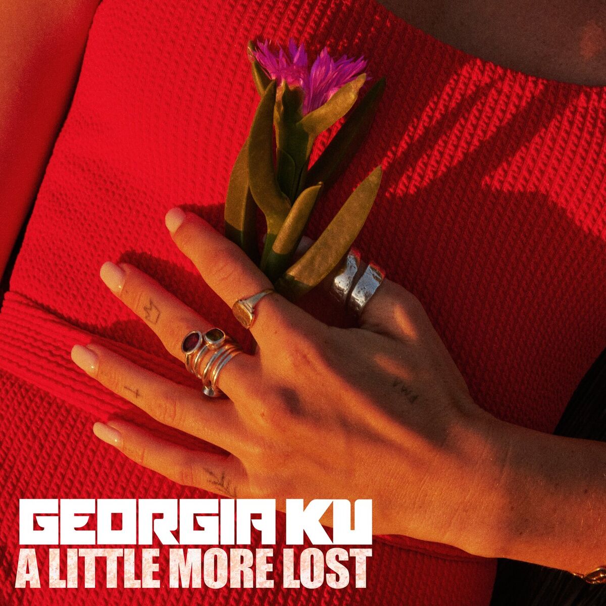 Album cover of A Little More Lost