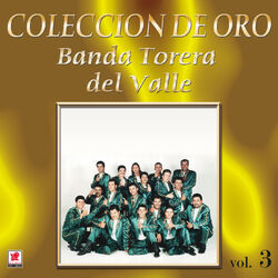 Cover of Colección De Oro, Vol. 3