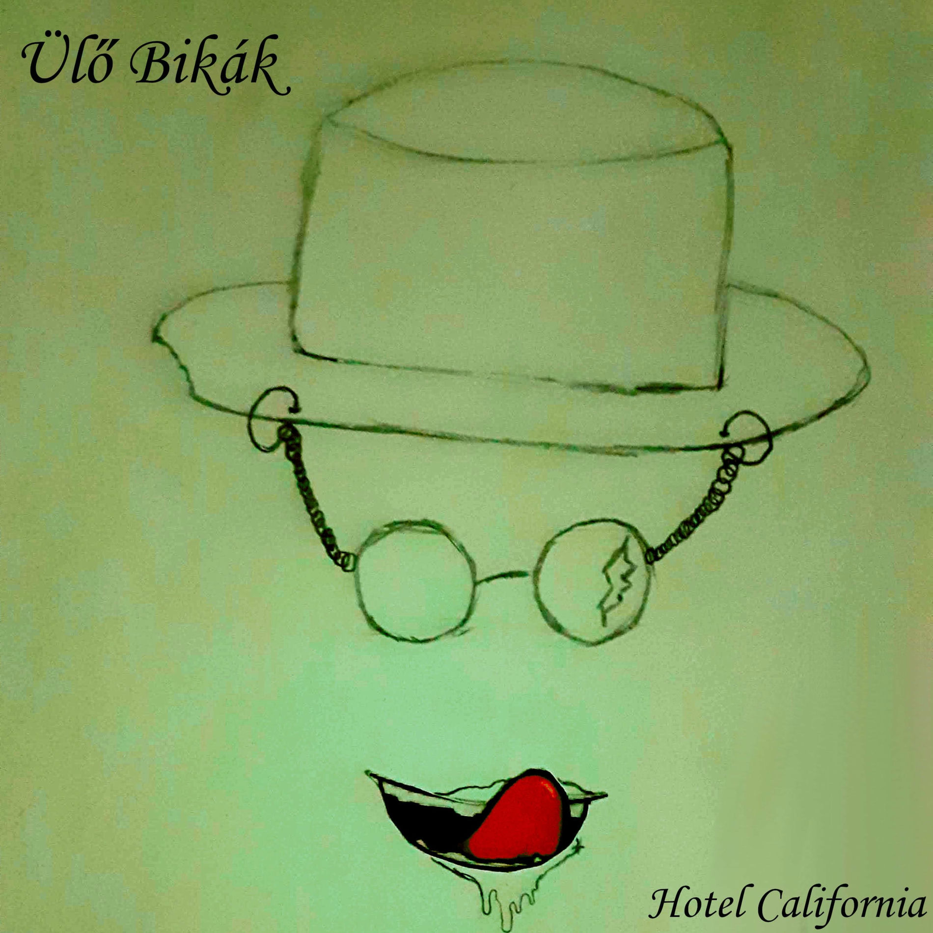 Album cover of Hotel California