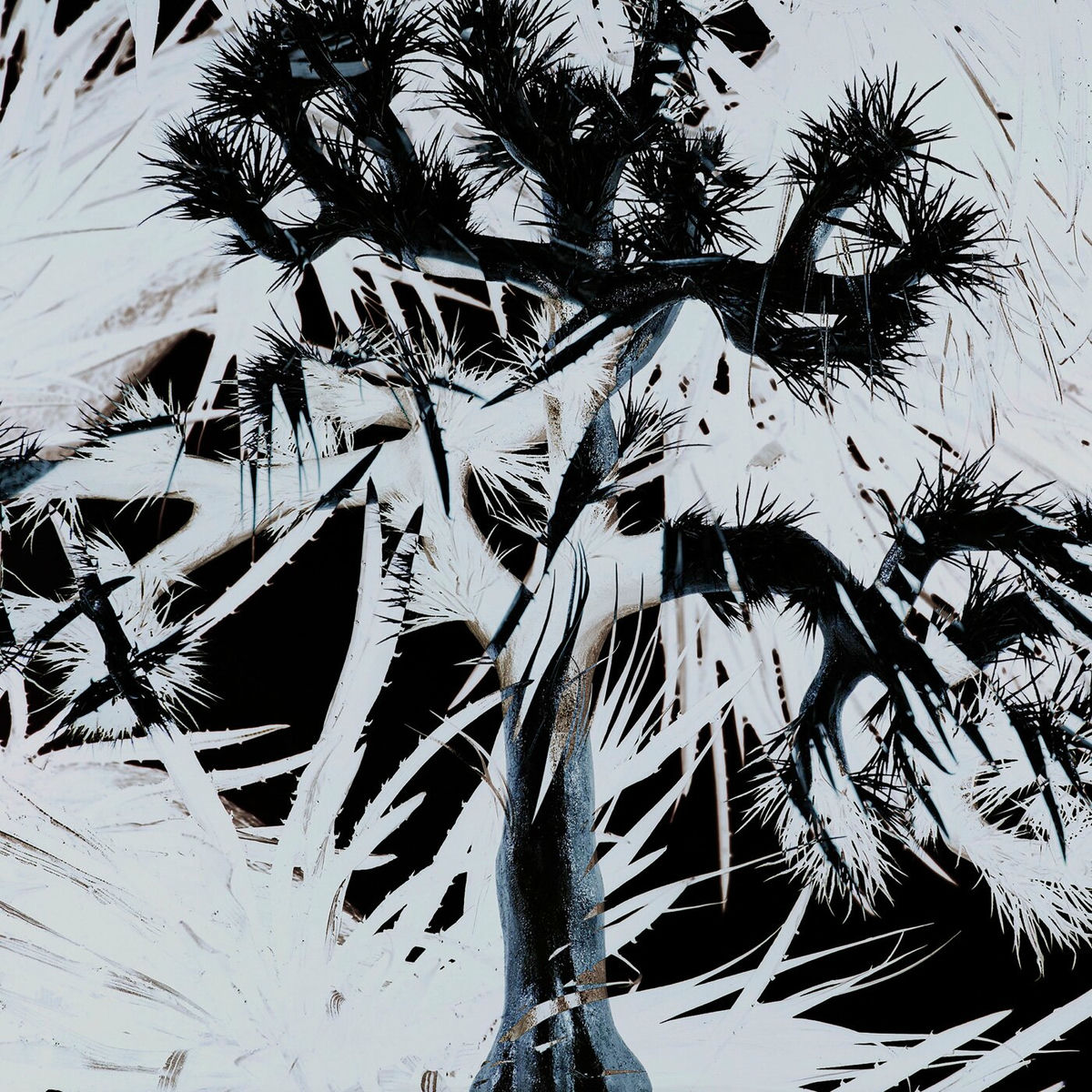 Plastic Tree - Plastic Tree | Deezer