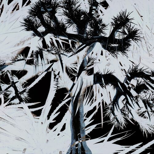 有村竜太朗 demo デも レコード plastic tree 500x500.jpg