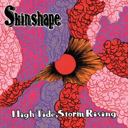 Cover of High Tide, Storm Rising