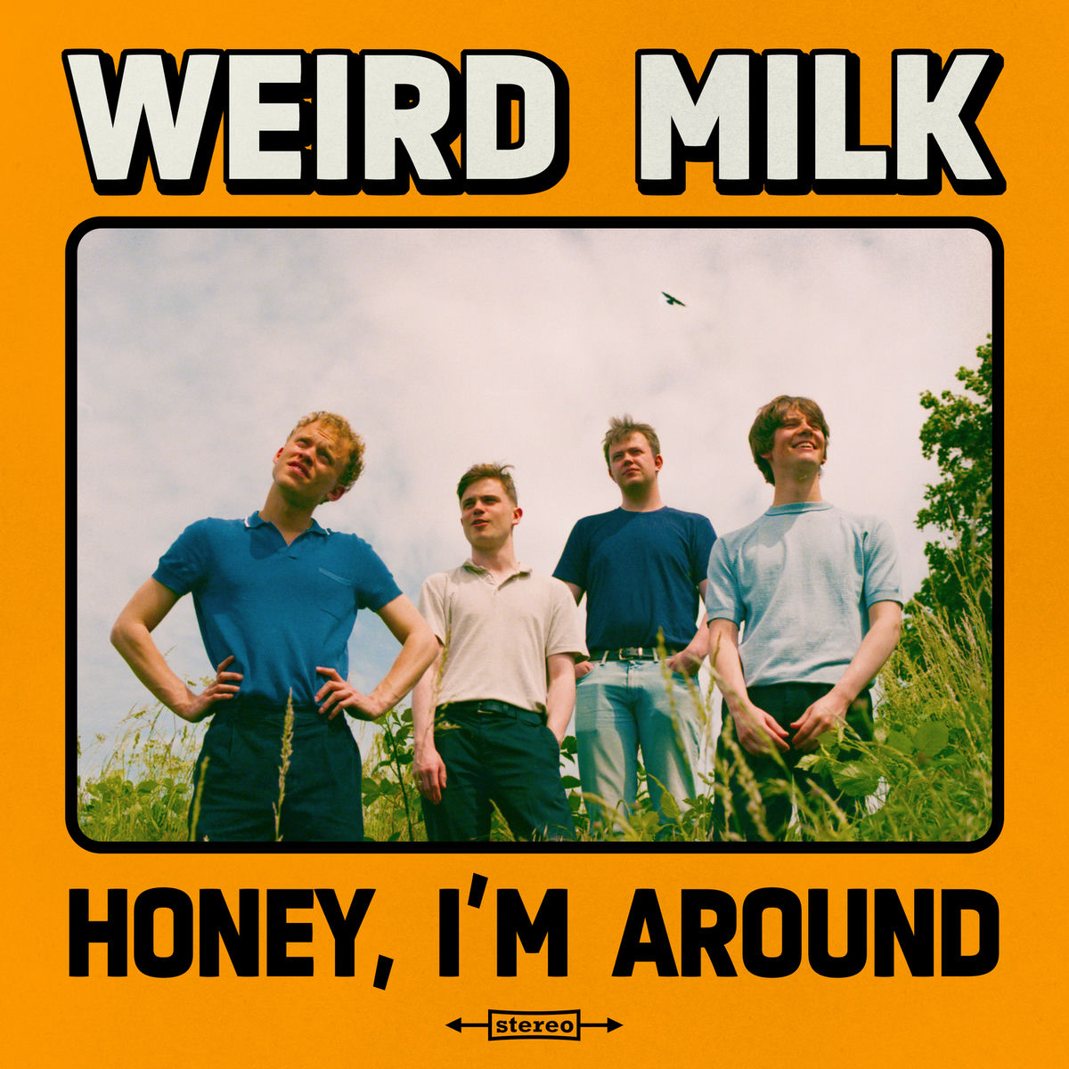 Album cover of Honey, I'm Around