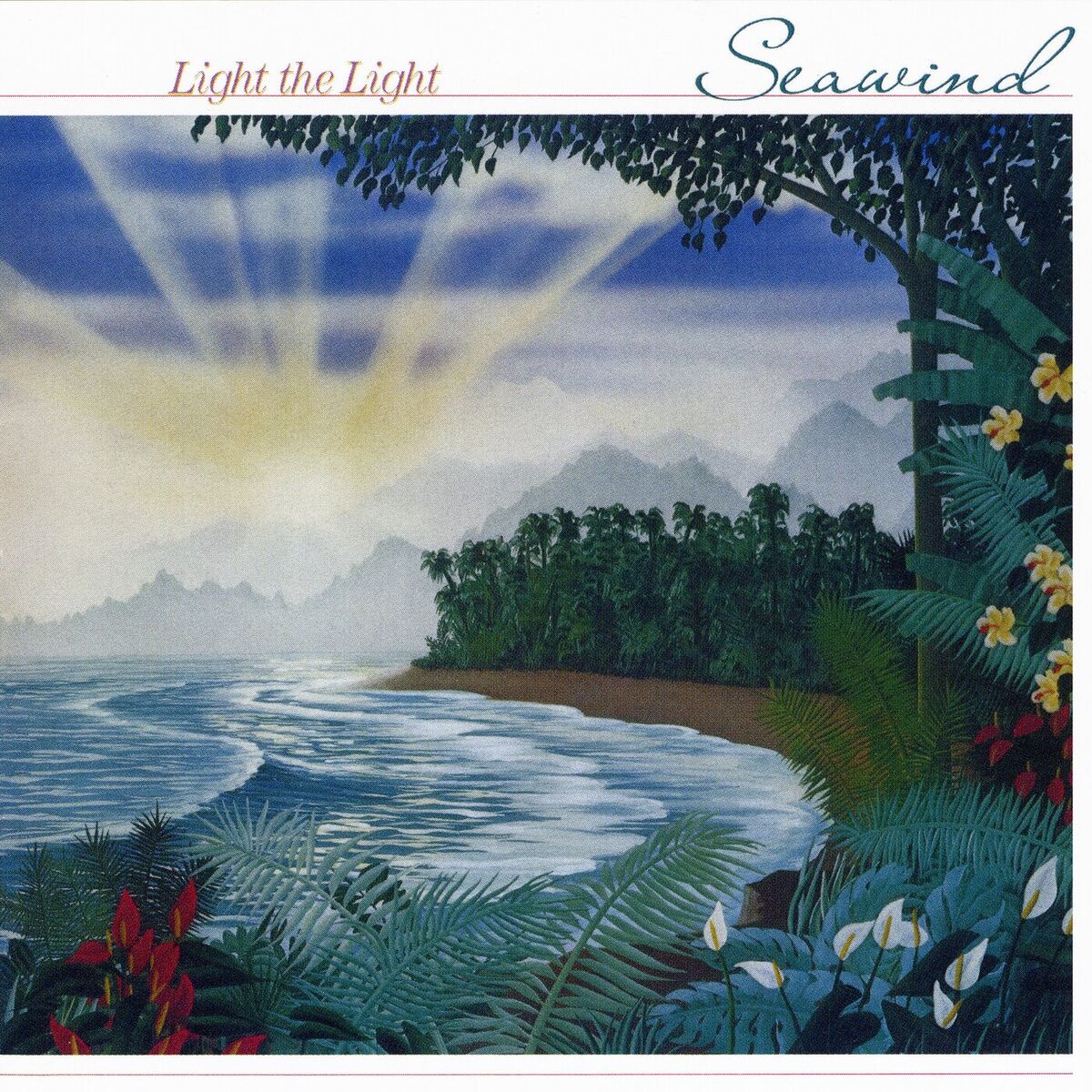 Album cover of Light The Light