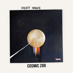 Cover of Cosmic Zoo