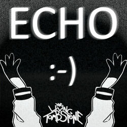 Cover of Echo