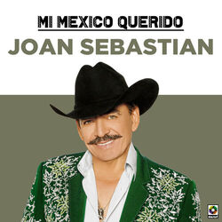 Cover of Mi Mexico Querido