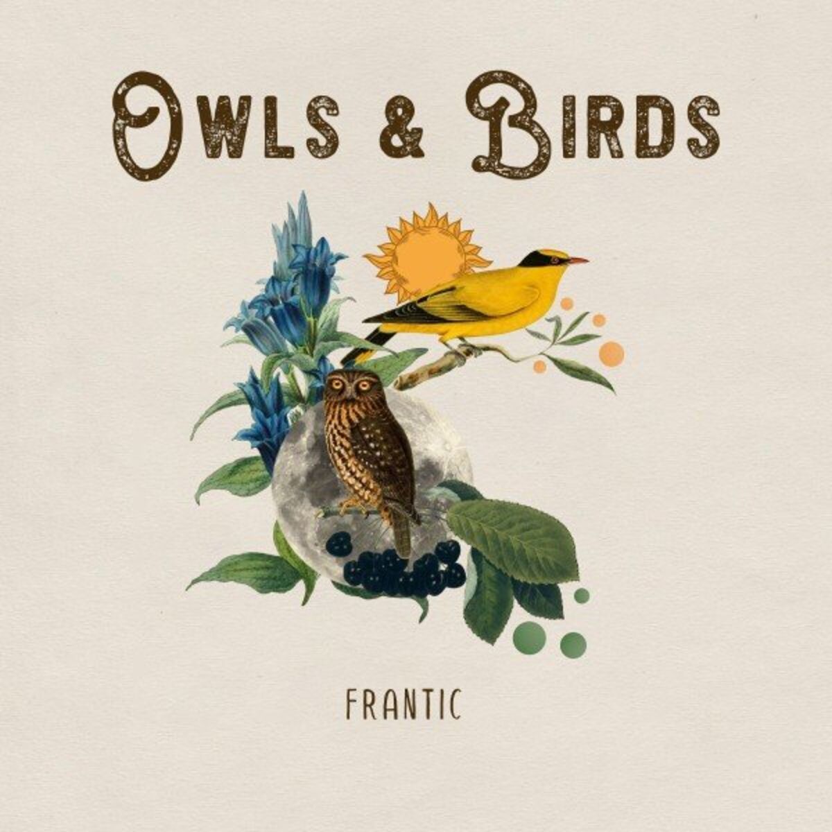 Album cover of Owls & Birds