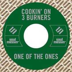 Cover of One of the Ones